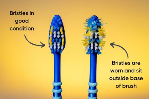 bristles-in-good-condition.jpg