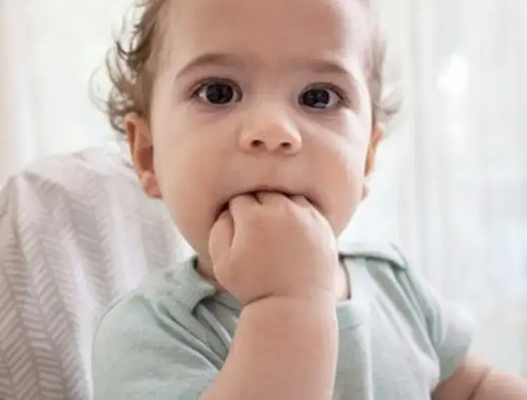 teething-factsheet-500x400_jpg_350.webp
