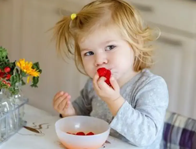 snacking-factsheet-500x400_jpg_350.webp